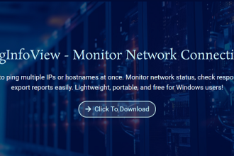 What Are the Key Features of PingInfoView